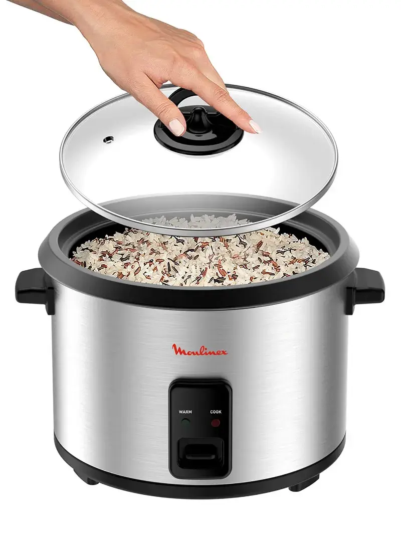 540W 10 Cups Capacity Electric Rice Cooker MK123D10